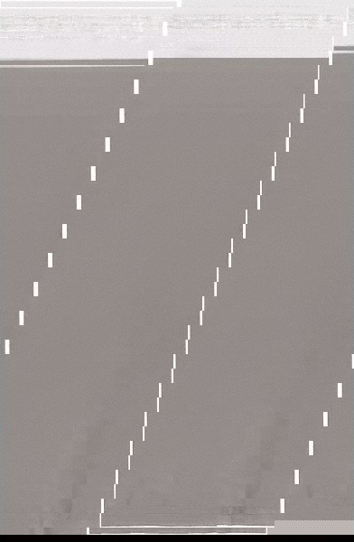 Courier Mailing Envelope: 10